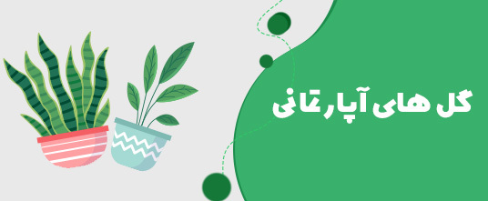 گل-آپارتمانی