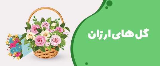 گل-ارزان